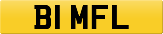 B1MFL