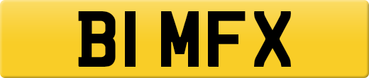 B1MFX