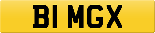 B1MGX