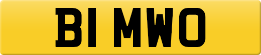 B1MWO