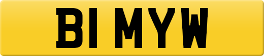 B1MYW