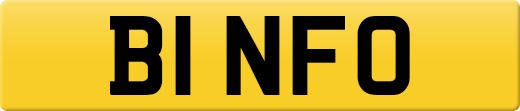 B1NFO