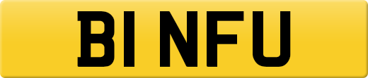 B1NFU