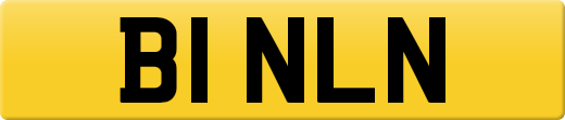 B1NLN