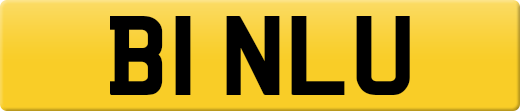 B1NLU