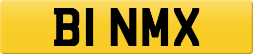 B1NMX
