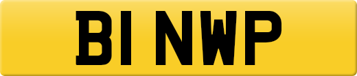B1NWP