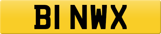 B1NWX