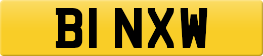 B1NXW