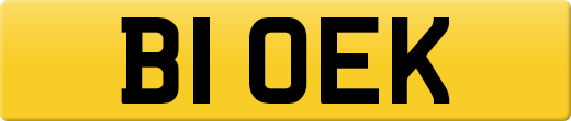 B1OEK