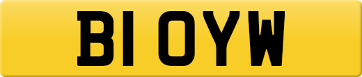 B1OYW