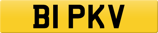 B1PKV