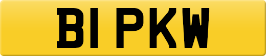 B1PKW
