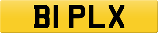 B1PLX