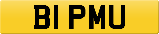 B1PMU