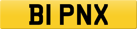 B1PNX