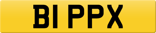 B1PPX