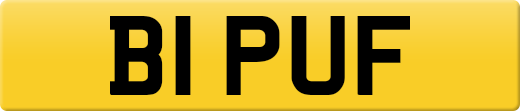 B1PUF