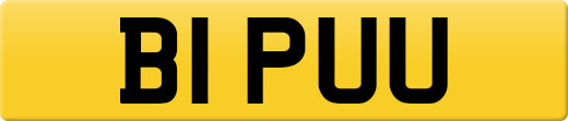 B1PUU