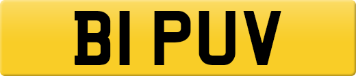 B1PUV