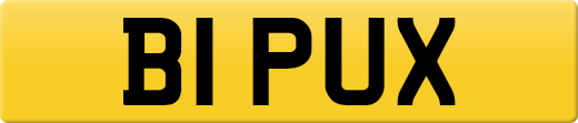 B1PUX