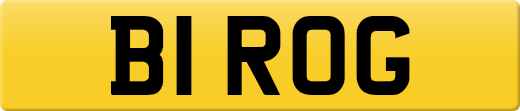 B1ROG