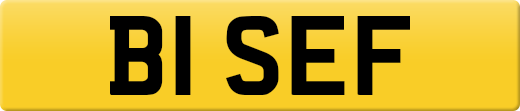 B1SEF