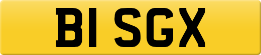 B1SGX