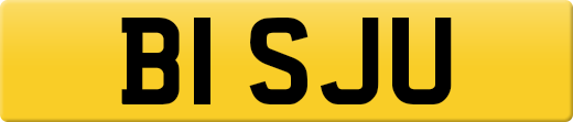 B1SJU