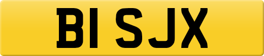 B1SJX