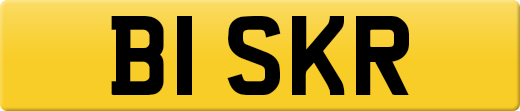 B1SKR