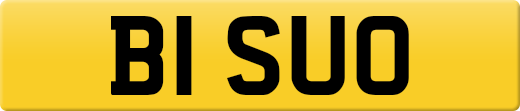 B1SUO