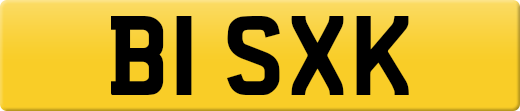 B1SXK