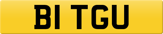 B1TGU
