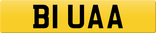 B1UAA