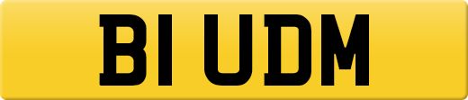 B1UDM