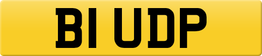 B1UDP