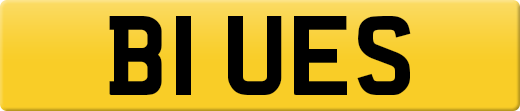 B1UES