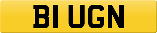 B1UGN