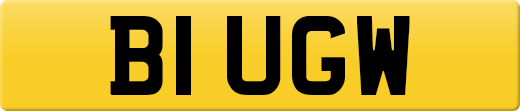 B1UGW