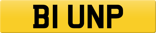 B1UNP
