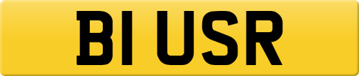 B1USR
