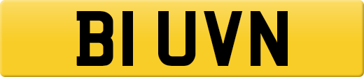B1UVN