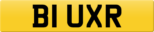 B1UXR