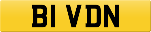 B1VDN