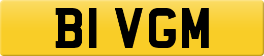 B1VGM