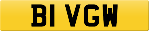 B1VGW