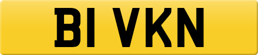 B1VKN