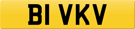 B1VKV