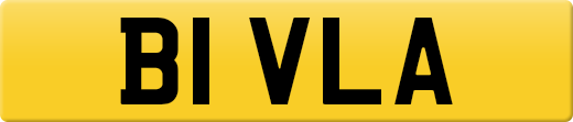 B1VLA